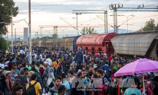 Hàng nghìn người di cư tiếp tục đổ về cửa ngõ châu Âu