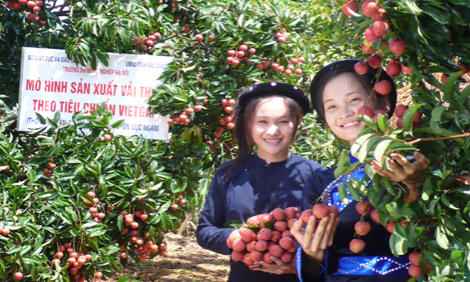 Nhật Bản xúc tiến nhập nhiều loại trái cây Việt Nam