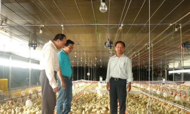 Kienlongbank dành 2.000 tỷ đồng ưu đãi nông nghiệp nông thôn