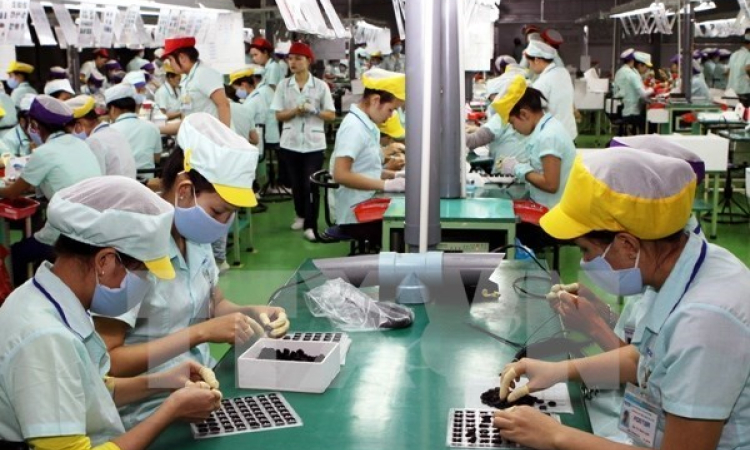 Báo Mỹ: Việt Nam sẽ trở thành thung lũng Silicon của Đông Nam Á
