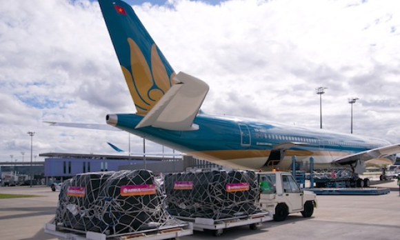 Vietnam Airlines vận chuyển miễn phí máy lọc thận nhân tạo cho Bệnh viện Thận Hà Nội