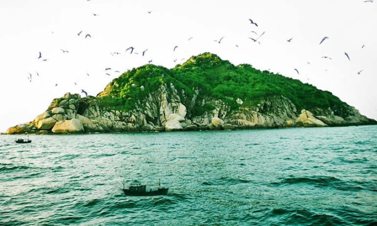 Đảo Chim du ký
