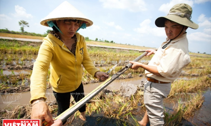 Đồng Tháp Mười hôm nay