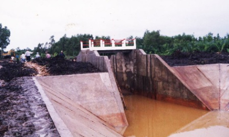 Cần Giuộc: Tập trung ứng phó với hạn hán, xâm nhập mặn