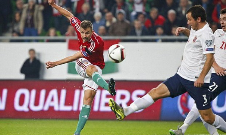 Hungary giành vé dự vòng chung kết EURO sau 43 năm dài chờ đợi