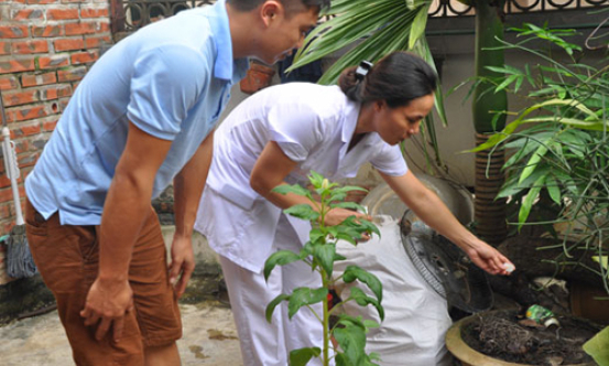 Sốt xuất huyết vẫn chưa hạ nhiệt