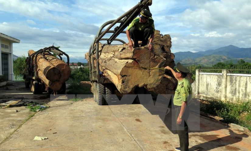 Tìm thấy xe tang vật vụ hàng chục mét khối gỗ lậu &#8220;lọt&#8221; qua biên giới