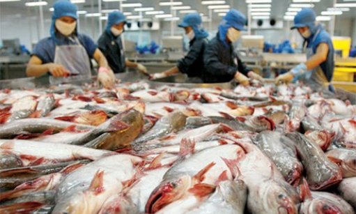Gạo và thủy sản Việt Nam cần làm gì để đón cơ hội từ TPP?