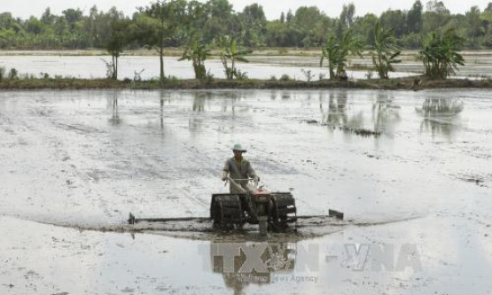 Venezuela phê chuẩn thỏa thuận hợp tác nông nghiệp với Việt Nam