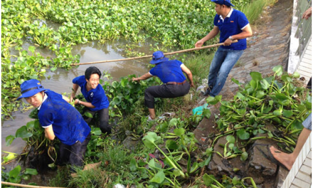 Đức Huệ: Ra quân tháng hành động trục vớt lục bình