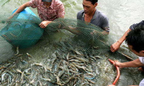 Cần Giuộc: Giải ngân 860 triệu đồng quỹ hỗ trợ nông dân