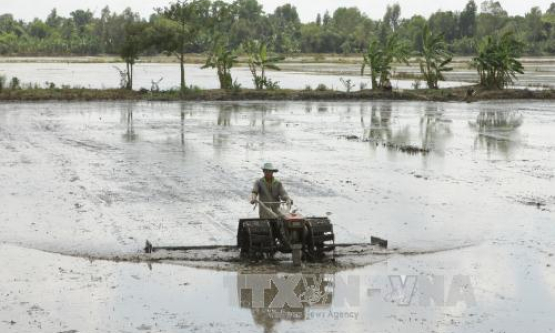 Hội chẩn liên viện về bệnh nhân có khối u khổng lồ