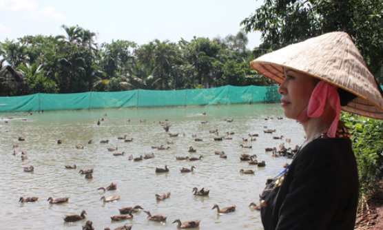 Tỷ phú nông dân vùng sông Hậu