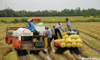 Xuất khẩu gạo đầu năm tăng 108%