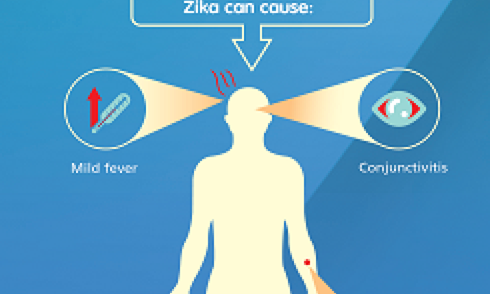 Virus nguy hiểm Zika có nguy cơ xâm nhập Việt Nam