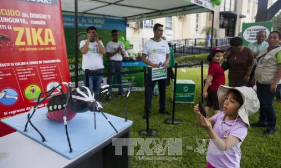 Peru có trường hợp nhiễm Zika đầu tiên