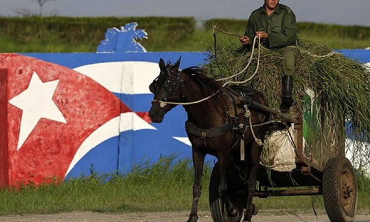 Cuba, Triều Tiên ký các thỏa thuận hợp tác thương mại và khoa học