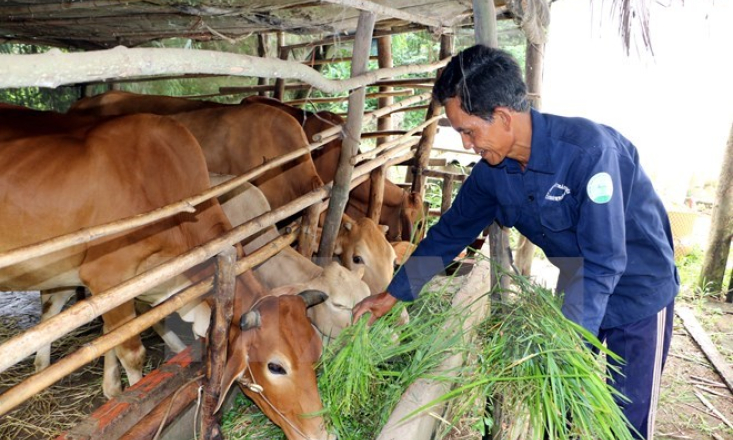 Thành tựu 30 năm đổi mới: Cơ bản bảo đảm an sinh xã hội