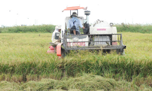 Nông hộ ở Đắk Lắk ra quân đầu năm tưới nước cho cây càphê