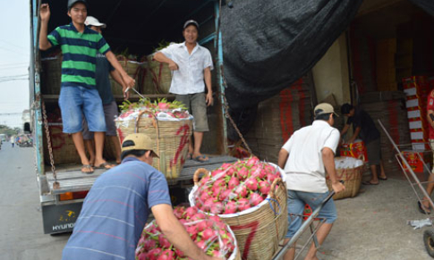 Châu Thành: Nhân dân đóng góp trên 46 tỷ đồng làm đường giao thông