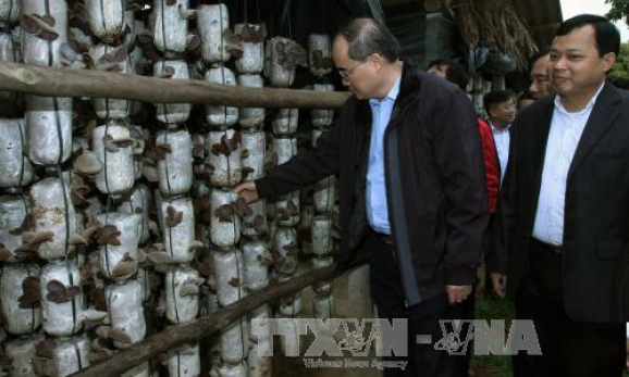 Phe Áo Đỏ và Áo Vàng Thái Lan đối đầu nhau về hiến pháp