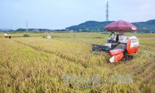 WTO nhấn mạnh Việt Nam đang đi đúng hướng