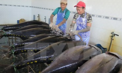 Thủ tướng Nguyễn Xuân Phúc “đặt hàng” Quảng Trị phát triển du lịch