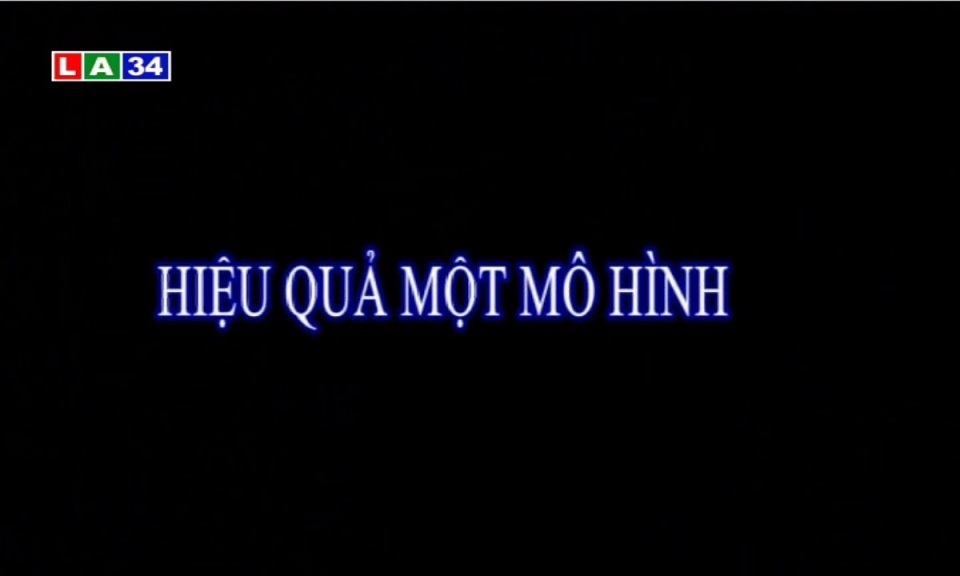 Hiệu quả một mô hình