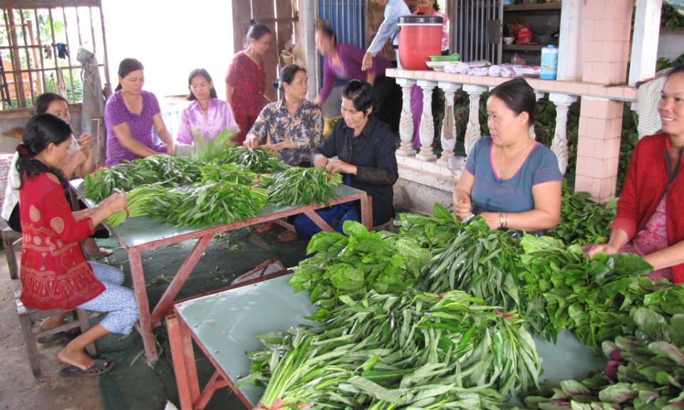 Cần Giuộc: Phát triển kinh tế hợp tác còn gặp nhiều khó khăn