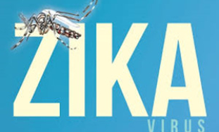WHO khuyến cáo an toàn tình dục sau khi trở về từ vùng có Zika