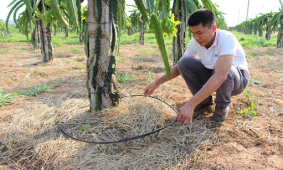 Khó khăn đầu tư nông nghiệp công nghệ cao