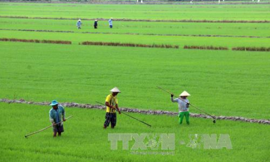 Nga và Hàn Quốc kêu gọi phi hạt nhân hóa trên bán đảo Triều Tiên