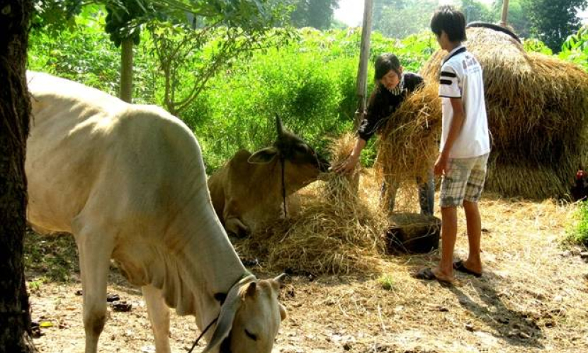 Quỹ hỗ trợ nông dân, đòn bẩy phát triển kinh tế