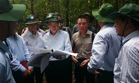 Giá vàng lấy lại đà tăng, giá dầu giảm mạnh