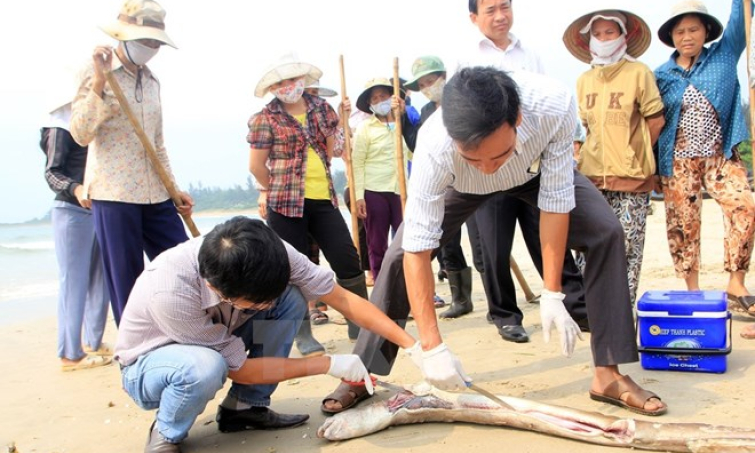 &#8220;Cần sớm công bố an toàn môi trường biển cho người người dân biết&#8221;