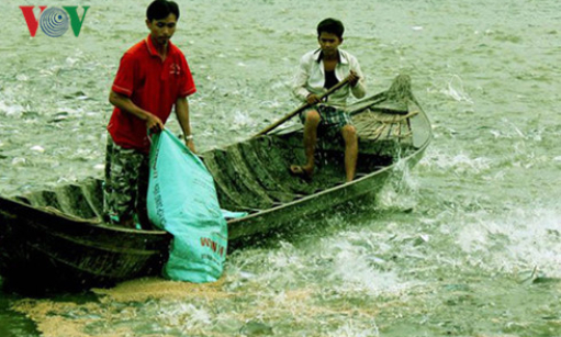 Loạn thị trường cá tra Miền Tây do có “bàn tay” thương lái Trung Quốc