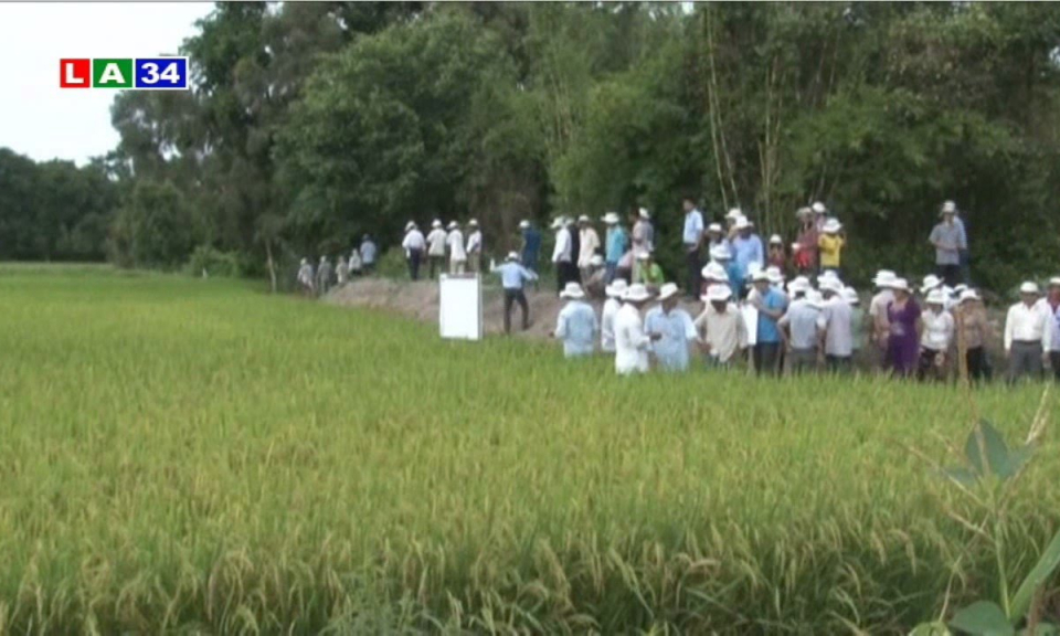 Bản tin thời sự sáng 9-8-2016