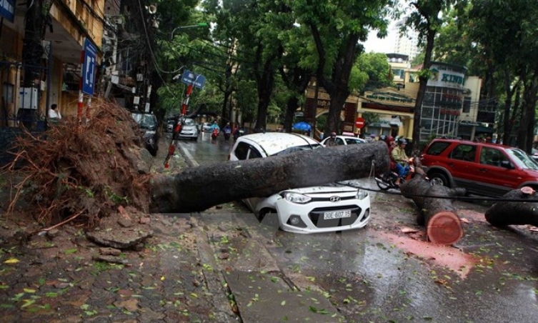 Phó Thủ tướng: Năng lực dự báo thiên tai chưa đảm bảo yêu cầu