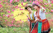 Hai chương trình nghệ thuật đặc sắc chào năm mới 2017 