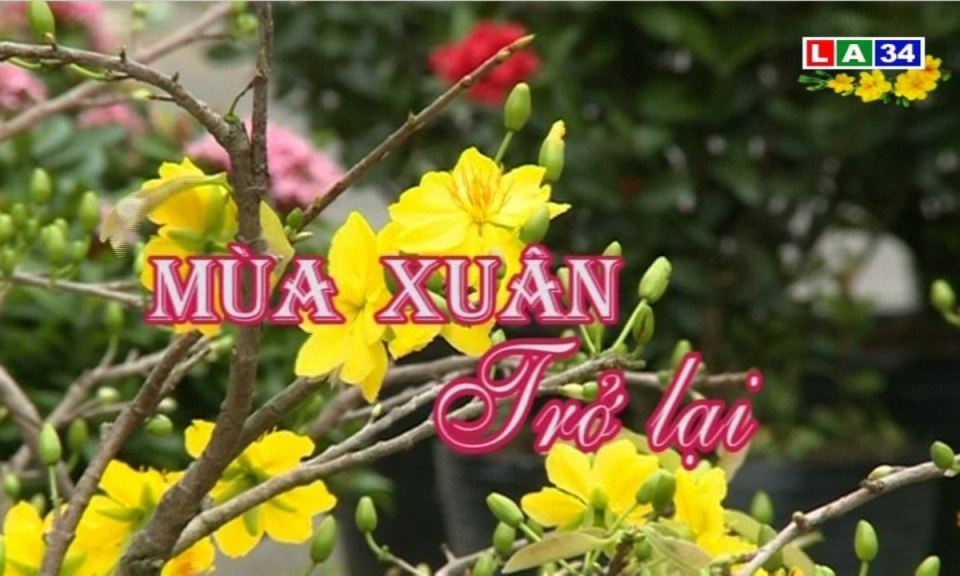 Mùa xuân trở lại