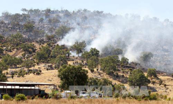 Cháy rừng, nắng nóng lan rộng tại Australia