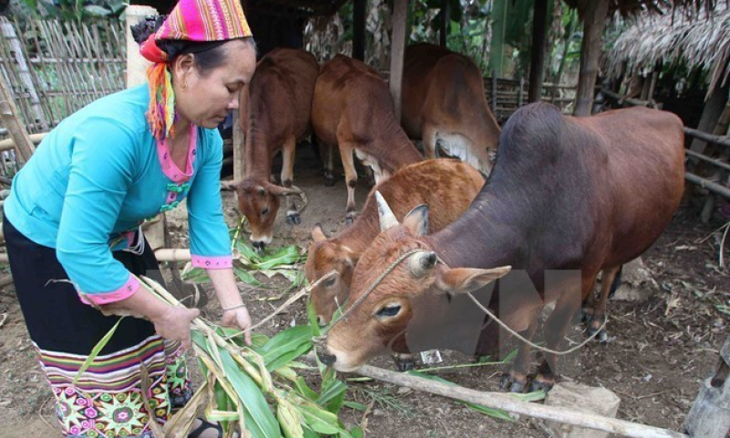 Thủ tướng yêu cầu không để thất thoát, lãng phí nguồn vốn giảm nghèo