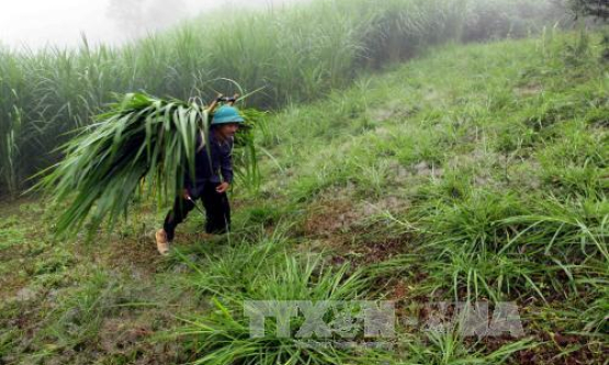 Miền Bắc tiếp tục rét đậm, có nơi dưới 10 độ