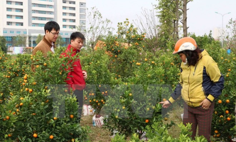 Thời tiết ấm áp trong ngày đầu tiên của kỳ nghỉ Tết Nguyên đán