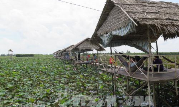 Phát triển mô hình nhà nông làm du lịch