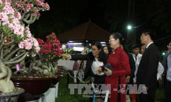 TP Hồ Chí Minh khai mạc Hội hoa Xuân