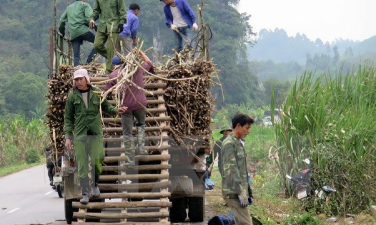 Việt Nam nhấn mạnh tầm quan trọng của hợp tác công tư để giảm nghèo