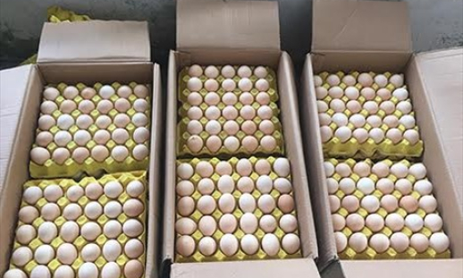 Tiêu hủy hơn 1 vạn quả trứng gia cầm và hàng trăm kg thịt bẩn nhập lậu từ Trung Quốc