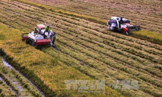 &#8216;Festival quốc tế nông nghiệp vùng đồng bằng sông Cửu Long&#8217;