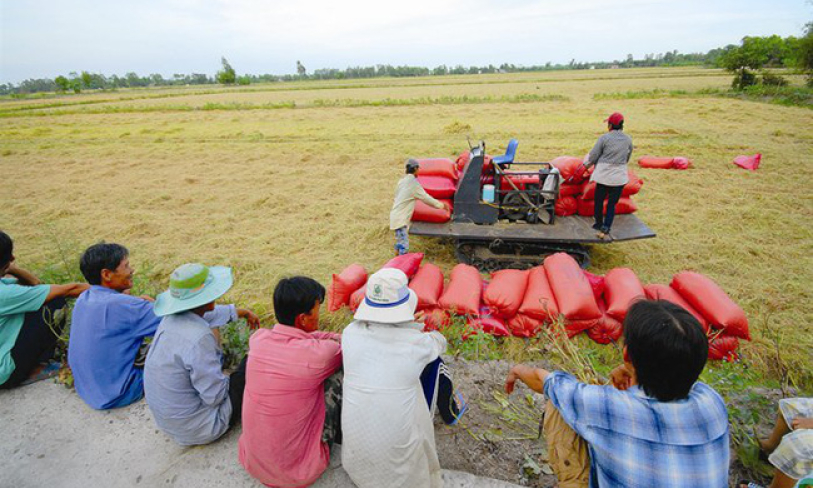 Phát huy vai trò kinh tế tập thể trong phát triển nông nghiệp